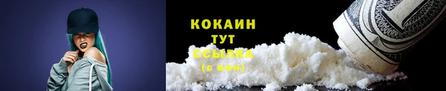 стаф Магадан