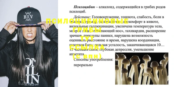 стаф Магадан