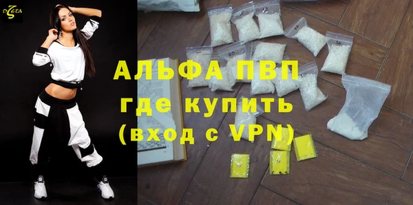 сатива Магас
