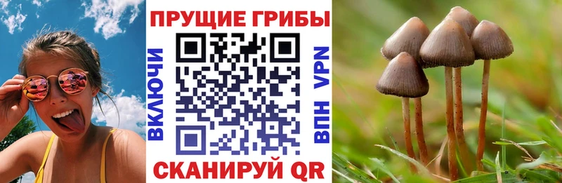 наркошоп blacksprut зеркало Галлюциногенные грибы MAGIC MUSHROOMS Иваново
